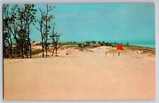 Picturesque Duneland Sleeping Bear Sand Dunes Michigan Postcard Chrome picture