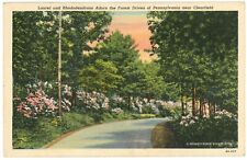 Laurel And Rhododendrons Adorn The Forest Drives Of Pennsylvania 1940 Postcard picture