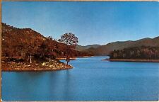 North Saluda Lake South Carolina Postcard c1950 picture