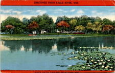 Postcard, Eagle River, Wisconsin, waterlilies, reflections, hunting, Postcard picture