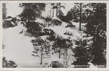 c1950s RPPC Deer Sierras snow winter Eastman's Studio Kodak photo card A694 picture