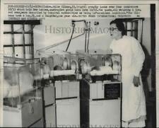 1958 Press Photo Mrs Julia Ullman, looks over four incubators of her quadruplets picture