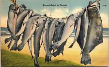 Close View Record Catch Fish Stringed Florida FL Ocean Sand Postcard Note WOB PM picture
