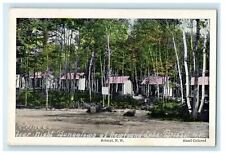 c1910 Prince's Overnight Bungalow Newfound Lake Bristol NH Handcolored Postcard picture