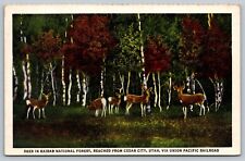 c1940 Family Of Deer In Kaibab National Forest Utah Vintage Postcard picture