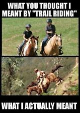 Funny horse  trail  riding  refrigerator magnet  3 1/2 X 4 1/2 