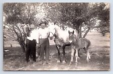RPPC Two Men Tending to Three Horses Unknown Location Real Photo picture