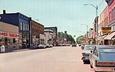 Street View of The Business District in Fremont MI Mich Michigan Postcard picture