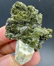 Natural Green Epidote Cluster With Matrix Specimen @Mineral Specimens 95 Carats picture