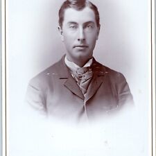 c1880s Monroe, Wis. Long Face Man Puffy Scarf Fashion Cabinet Card Photo WI B10 picture