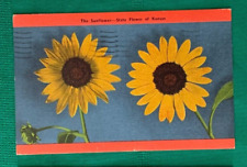 1940s VTG Tinted Linen State Flower Postcard ~ Sunflower Saint Mary's KS picture