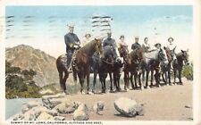 Postcard CA: Horseback Riders, Summit of Mt. Lowe, California, Posted 1920 picture