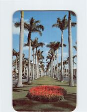 Postcard Royal Palm Way, at Palm Beach, Florida picture