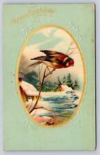 Early 1900s Embossed Postcard Bird on Branch Snowy Cabin Winter Scene Gold Gilt picture