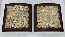 Coastal Fossils - 10” X 10” - Hung In ICA China Office 1929 - Set Of 2 Ancient? picture