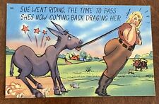 Vintage Postcard, Comic Humor Cartoon - TICHNOR BROTHERS, Boston – Donkey, UNP picture