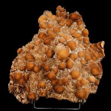 Huge Thomsonite with Stilbite Rare Find Natural Mineral Specimen # B 6634 picture