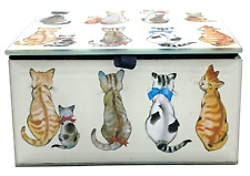 Small Acrylic Cat Jewelry/Trinket Box - The artisans picture