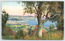 Nice France Harbor Birds Eye View Vintage Postcard picture