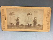 Stereoview European & American Views Real Photo Victorian Girl and Trick Dog picture