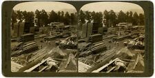 OREGON SV - Railroad Lumber Yard - HC White c1905 picture
