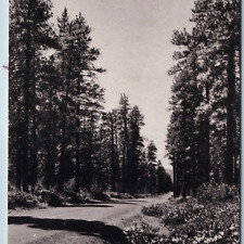 c1940s Oregon McKenzie Hwy West Bend Ore. Pass Cascade Range Linn Deschutes A201 picture
