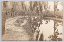 RPPC Near Lake Parker Lakeland Florida FL c1910 Real Photo Postcard Landscape picture