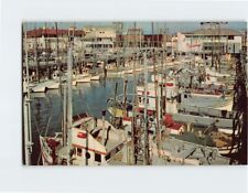Postcard Fishing Fleet San Francisco California USA picture