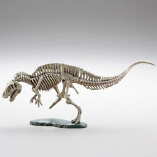 Kaiyodo Capsule Q Strongest Carnivore ACROCANTHOSAURUS Skeleton model figure 1 picture