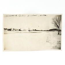 Frozen Howard Lake Pontiac RPPC Postcard 1920s Michigan Horse Sleigh Photo C3357 picture