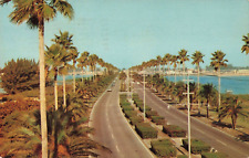 Clearwater FL Florida, Memorial Causeway to Beach, Palm Trees, Vintage Postcard picture
