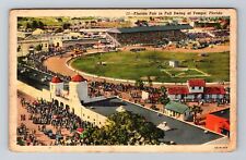 Tampa FL-Florida, Florida Fair in Full Swing, Vintage Postcard picture