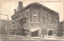 C1907 New York City Brooklyn THE NEW MONTAUK THEATRE Horse & Buggy Postcard 92 picture