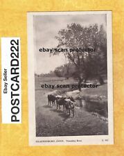 CT Glastonbury 1908-29 antique postcard COW IN FIELD NOONDAY REST CONN FARMING picture