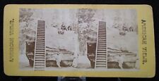 * Antique 1800's Stereo View Huge Tree Trunk w People on Top Yosemite Valley picture