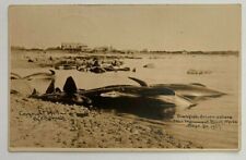 1907 MA RPPC Postcard Cape Cod Bourne Monument Beach Blackfish Ashore On Beach picture