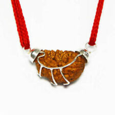 One Mukhi Rudraksha Pendent In Pure Silver Cap Lab Certified picture