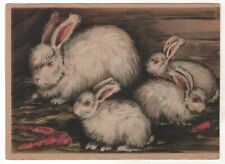 1940s Rabbits Bunnies Animals ART Denisov RUSSIAN POSTCARD Old picture