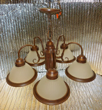 Chandelier Light / Ceiling Fixture 24” Wide / 5 Bell Shaped Frosted Light Shades picture