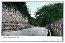 Hudson Wisconsin WI Postcard Cooley Road Country Road Trees Scene 1907 Antique picture