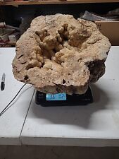 Massive Large Big Giant 36lb Crystal Indiana Geode picture