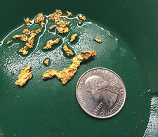 2 1/2 LB NUGGET RESERVE Gold Panning Paydirt Concentrate - Guaranteed Gold picture