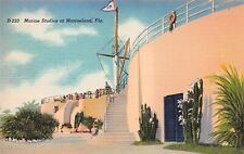 St Augustine Marineland FL Florida Marine Studios Dolphins Vtg Postcard B58 picture