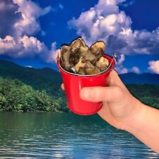 Bucket Full of Septarian Rough + FREE faceted gemstone - Pick Bucket Color picture