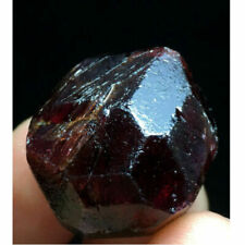 50g Natural RED Pyrope Garnet Crystal Gemstone Rough Mineral Specimen AAA++ picture
