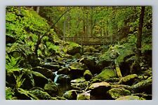 Conway-Wales, Fairy Glen, Antique, Vintage Souvenir Postcard picture