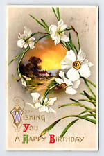 c1909 DB Postcard Happy Birthday Cupped White Daffodil Farmhouse Winsch Back picture