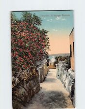 Postcard Oleanders Bermuda St. Georges British Overseas Territory picture