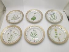 Royal Copenhagen Flora Danica Pattern Porcelain 6-Plate Set with Box picture