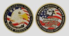 I AM FOREVER GRATEFUL NATION FLAG EAGLE  POW MIA  CHALLENGE COIN picture
